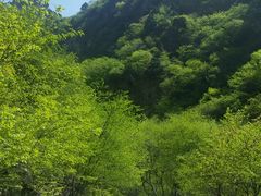 -北京上方山国家森林公园