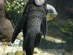 -福州罗源湾海洋世界旅游区