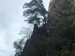 -塔云山