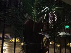 -润泽园椰子鸡(汇一城店)