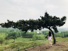 -恋山坝上草原