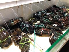 -海盗餐厅