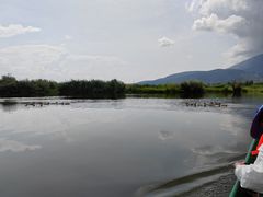 -大理洱源西湖景区
