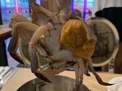 -星伦多 自助料理(圆融店)