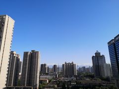 -眷茶(赛格国际购物中心店)