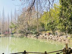 内景-宝岩生态观光园