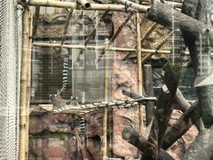 -石排湾郊野公园