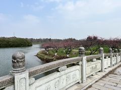 -上海海湾国家森林公园