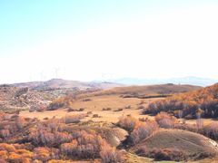 -御道口草原森林风景区