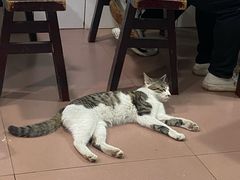 -朱儿面庄(洋河三路店)