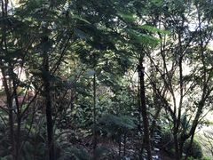 -西双版纳融创皇冠假日度假酒店