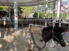 -J Create城市露营咖啡·简餐·宠物(上海动物园店)