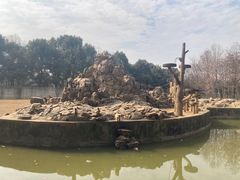 -合肥野生动物园