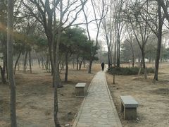 -绿堤公园