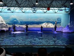 -秦皇岛乐岛海洋王国