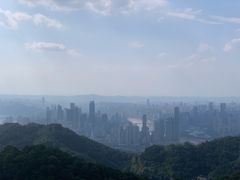 -大金鹰园