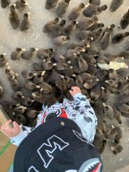 -萌宠亲子动物乐园(槐房万达店)