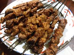 烤羊肉串-张四烤羊肉(西藏自治区拉萨市丹杰林巷店)