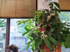 -66梧桐院·天平邻里汇(乌鲁木齐南路店)