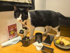 -原田新料理(1912店)