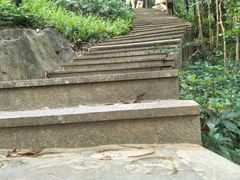 -广州市白云山风景名胜区