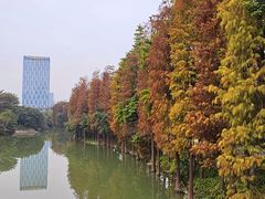 -佛山科学馆