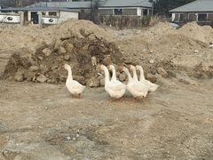 -大连步云山老汤度假山庄