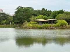 -福田红树林生态公园