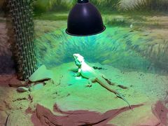 -正佳雨林生态植物园