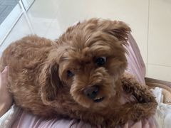 -巧手推拿中心(盲人推拿)