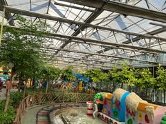 -南宫五洲植物乐园