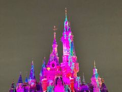 -上海迪士尼度假区