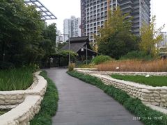 -活水公园