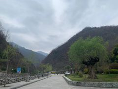 -牛背梁国家森林公园