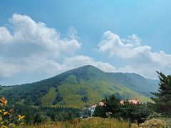 -灵山