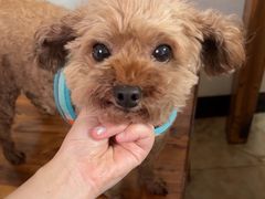 -玲燕蒸菜馆(江东路店)