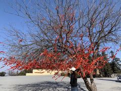 -冶父山国家森林公园