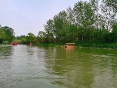 -溱湖国家湿地公园