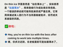 -引领英语·成人口语·雅思托福