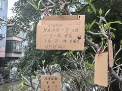 -小洲村