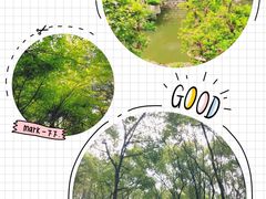 -南山植物园