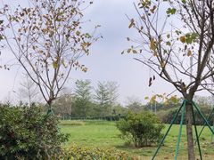 -广州国际生物岛