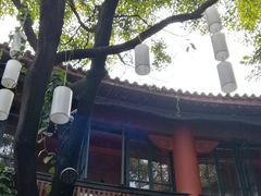 -醉云喃
