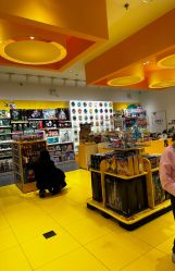 -乐高授权专卖店(朝阳大悦城店)