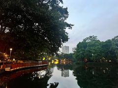 -荔湾湖公园