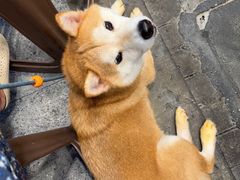 -禄粥·广府味·煲仔粥·宵夜·明档现做(江南西店)