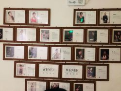 点击看大图 -薇薇安花系SPA