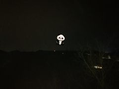 -约翰·菲茨杰拉德·肯尼迪国际机场