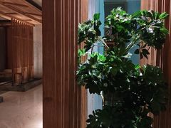 -浅深(北京北四环精品店)