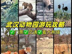 -武汉动物园